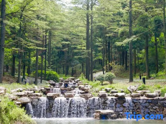 Shanglianggang Tourist Resort Hotel Fenghua
