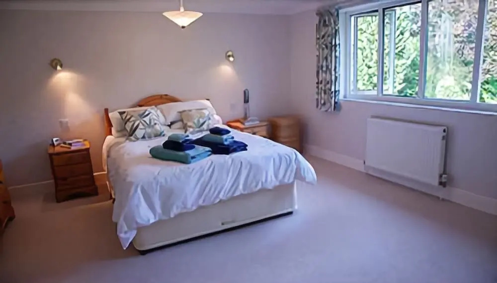 Bassets B&B