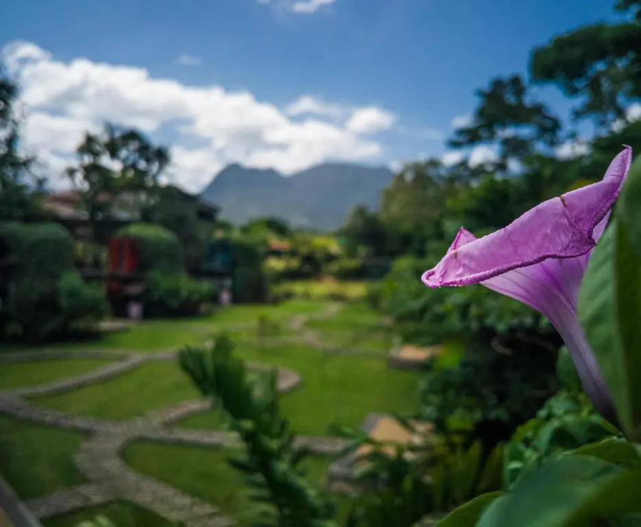 Arenal Backpackers Resort