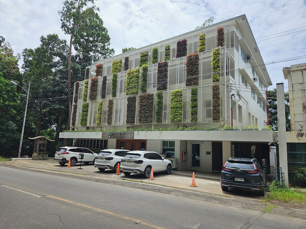 Vine and Canopy