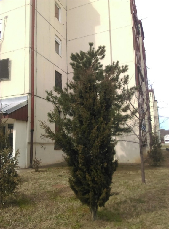 Two Rivers Apartment