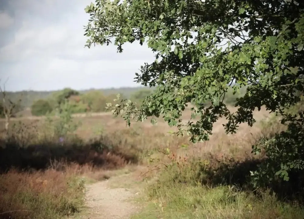 Pets Welcome, Veluwe Farmhouses for All