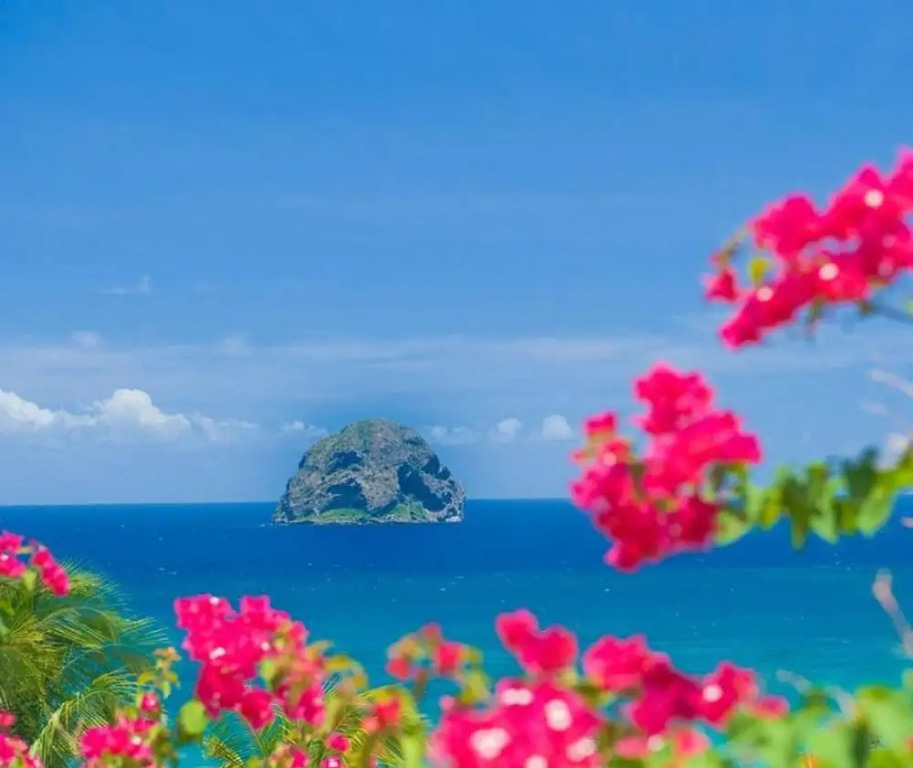 House with 3 Bedrooms in Le Diamant, with Private Pool, Terrace And Wifi - 2 Km From the Beach