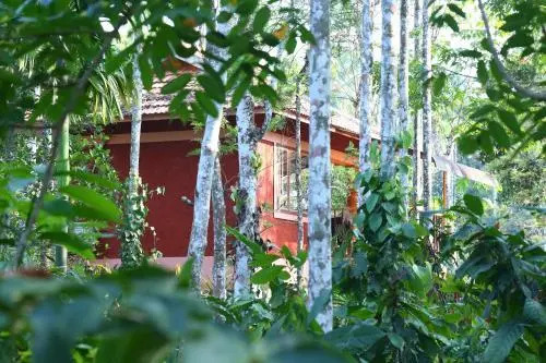 Wayanad Green Park
