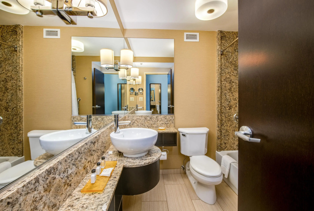 Crowne Plaza Chicago Ohare Hotel & Conf Ctr by IHG