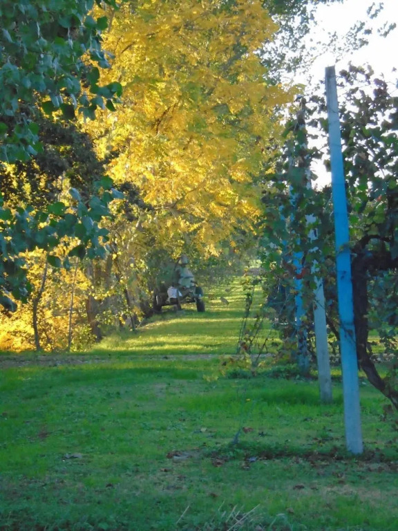 Agriturismo Loghino Sabbioni