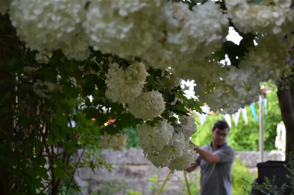 Le Jardin Secret