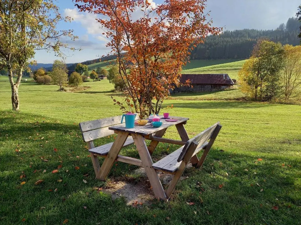 Ferienhaus Kaltenbach