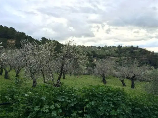 Oasi Monte Rhenna