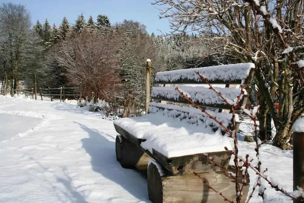 Ferienwohnung im Schwarzwald mit Garten