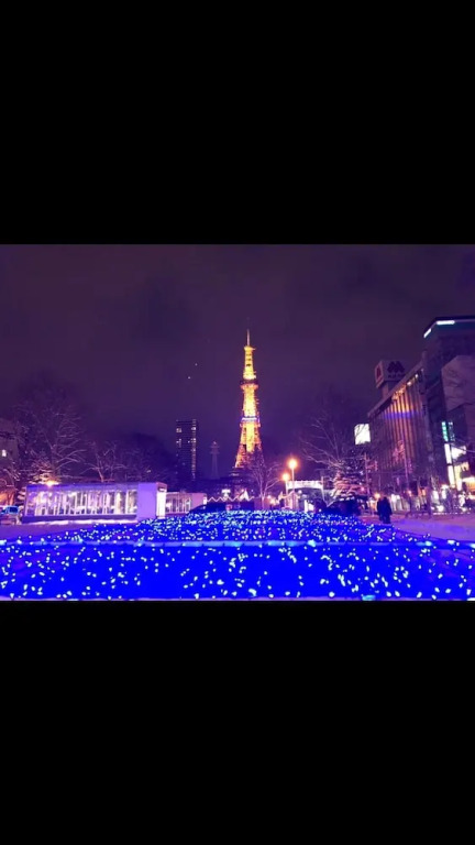 Sapporo Princess Hotel - Hostel