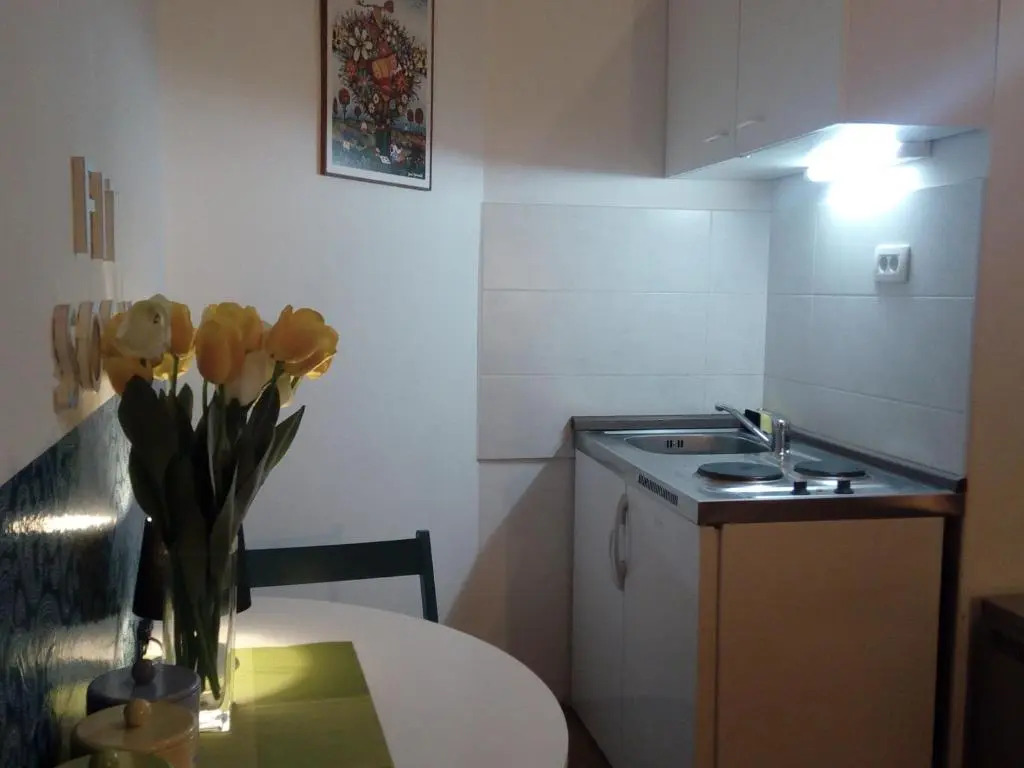 Apartment Optimist/City Break
