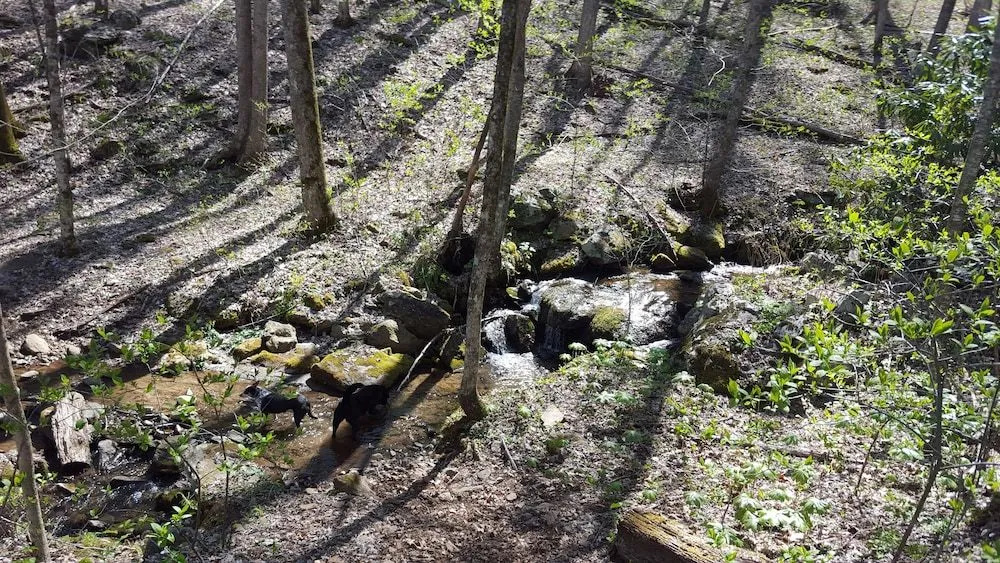 Pisgah View Ranch