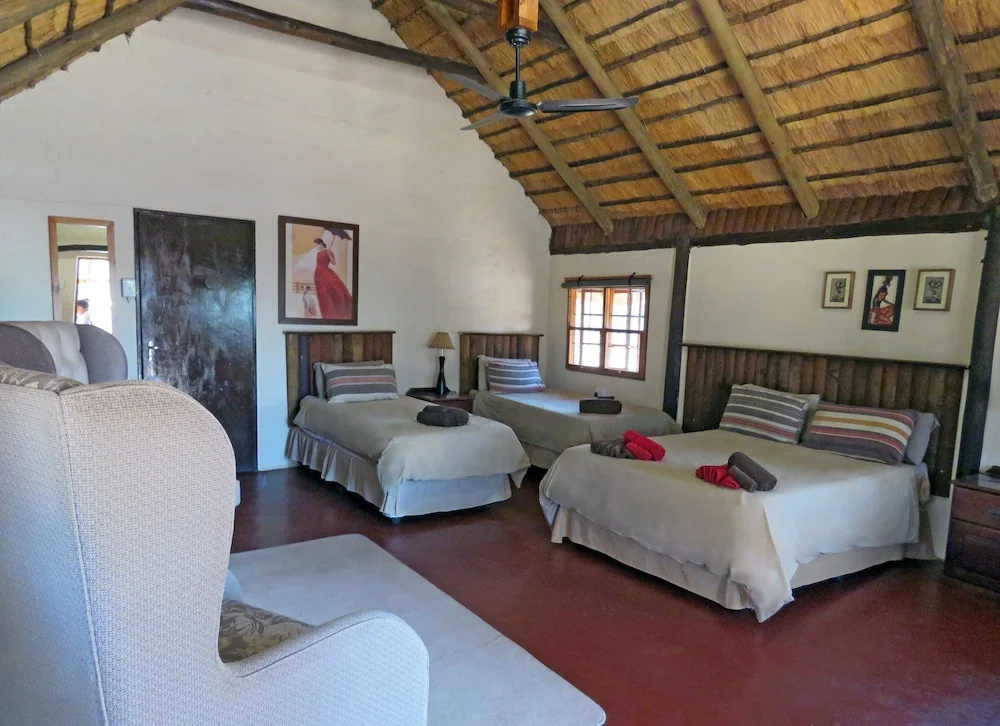 Wild Dogs Safari Lodge