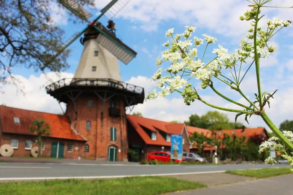 Zur Querensteder Mühle