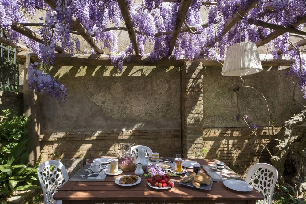 A Path of Relaxation and History Between Vineyards and Olive Trees