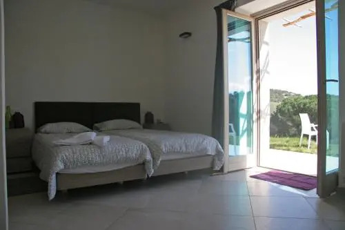 Sole e Terra