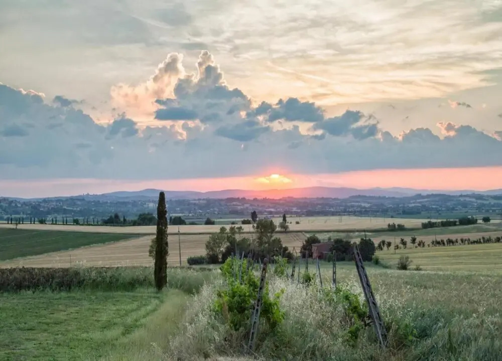 Villa with Private Swimming Pool in Hills near Cortona