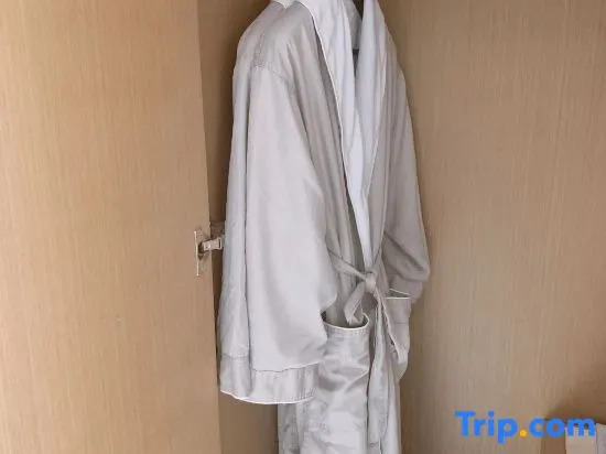Ruijing Kairui Select Hotel (Wushang Dream Times & Wuhan University Branch, Wuhan)