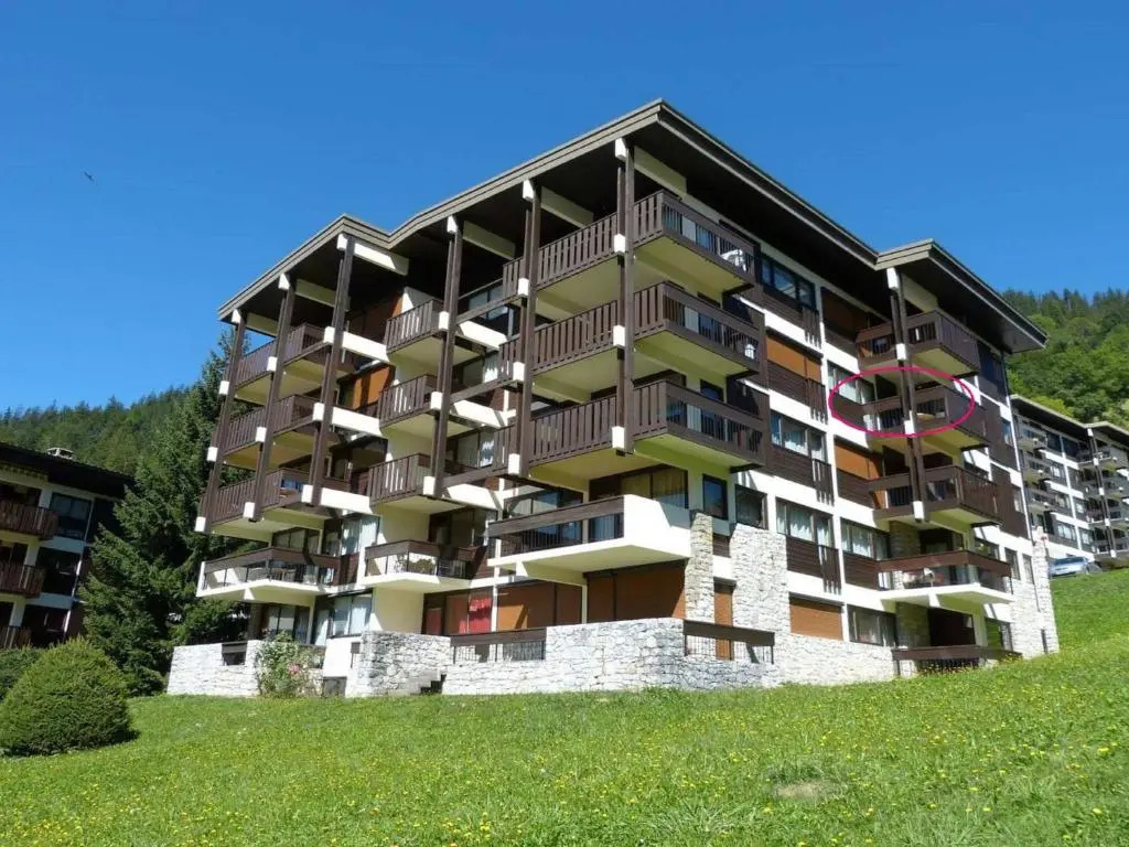 Appartement* pour 4 personnes, proche pistes, animaux admis - FR-1-304-46