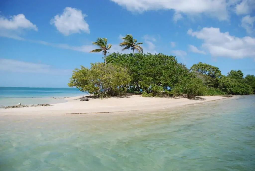 Buccoo Reef View