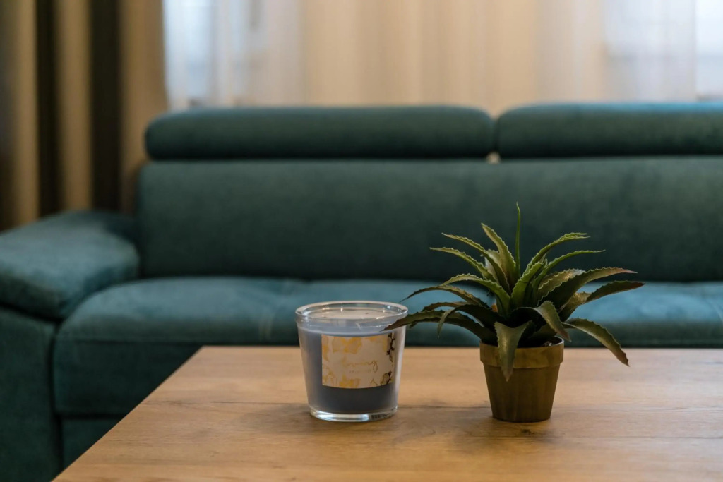 TODOR APARTMENTS Center