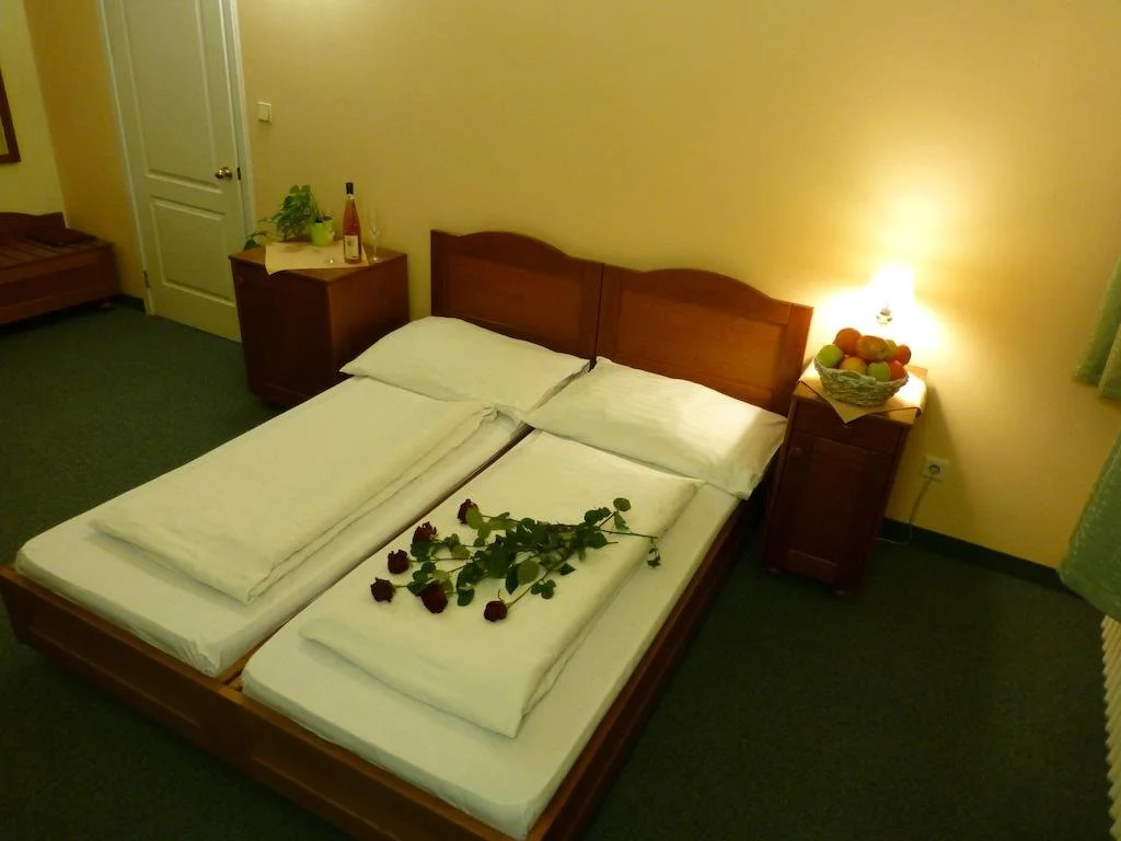 Hotel Korunni Princ