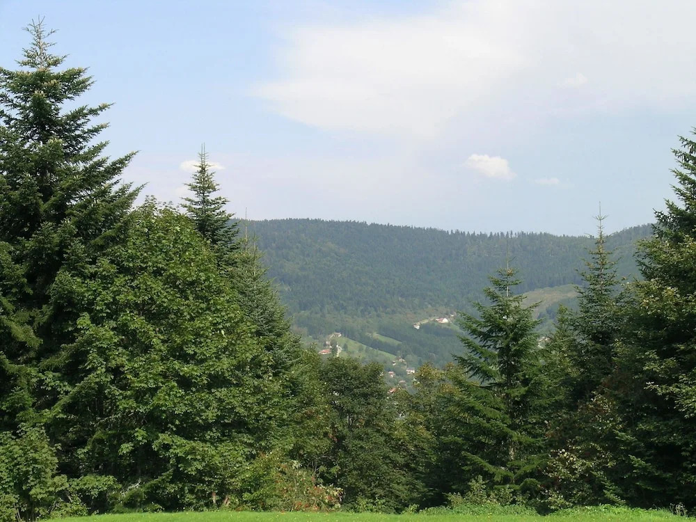 Ventron Chalet with Hill Views