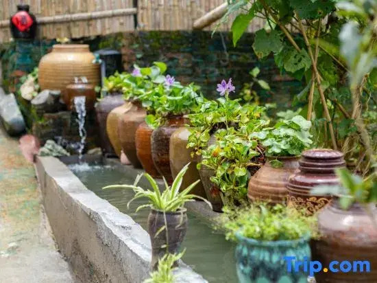 Yunshuiyao Tianjing · Wild Luxury · 1949 Homestay