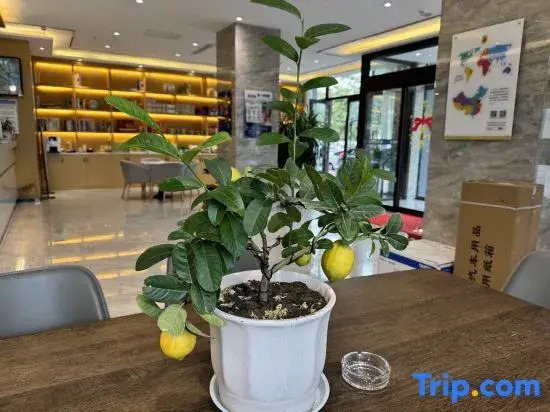 Super 8 Collection Hotel (Longnan Tanchang Guan'egou Branch)