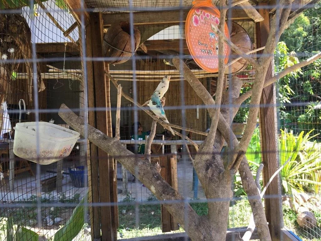 New Klong Khong Garden