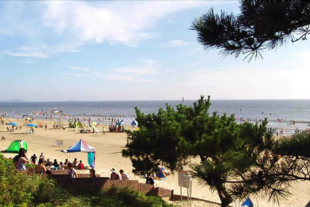 Taean (Anmyeondo) Angel Resort