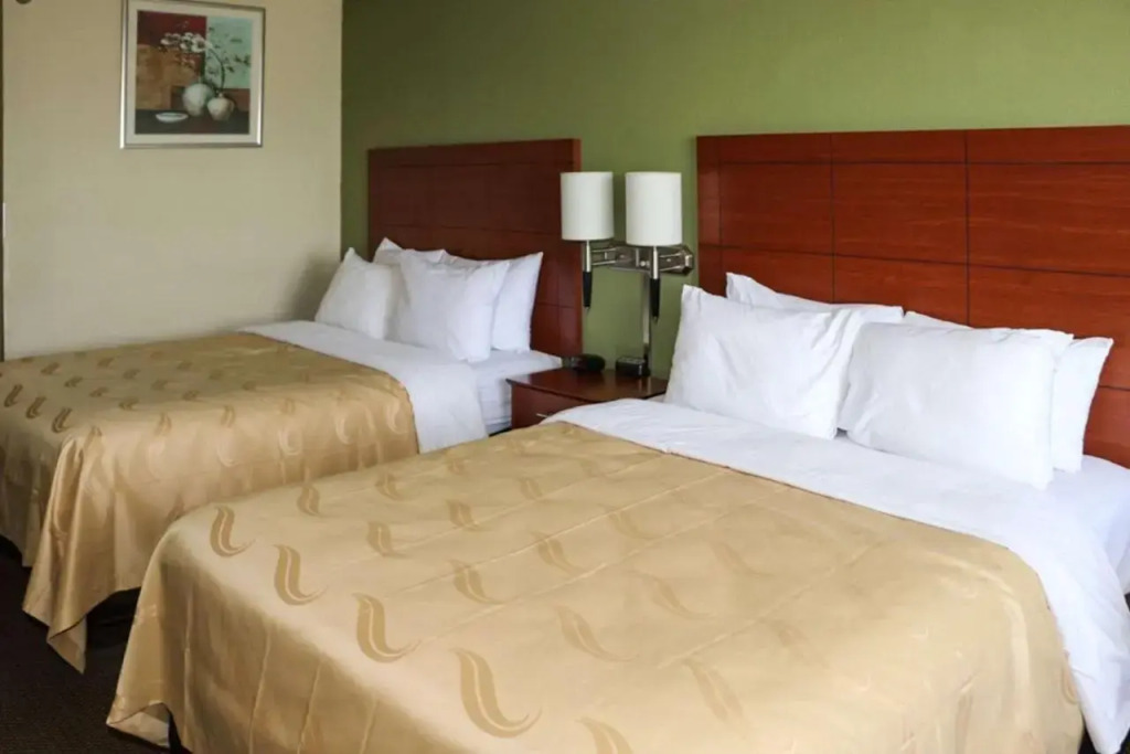Econo Lodge East