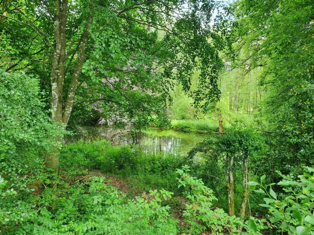 Sur la Rive Vierre