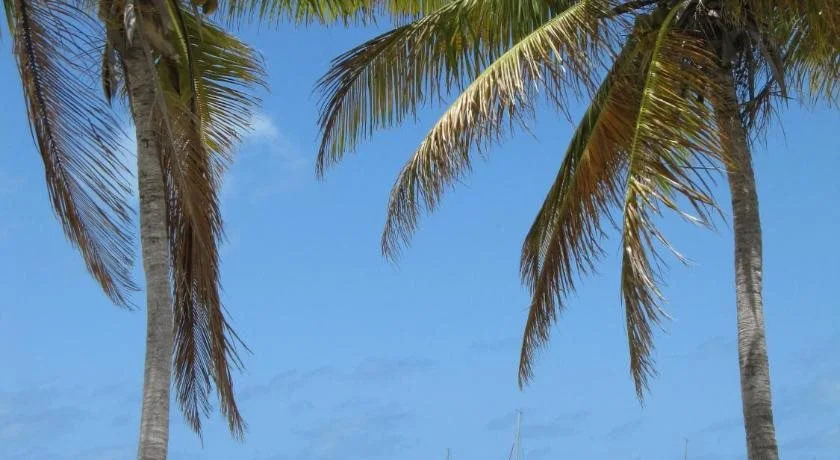 Anegada Reef Hotel