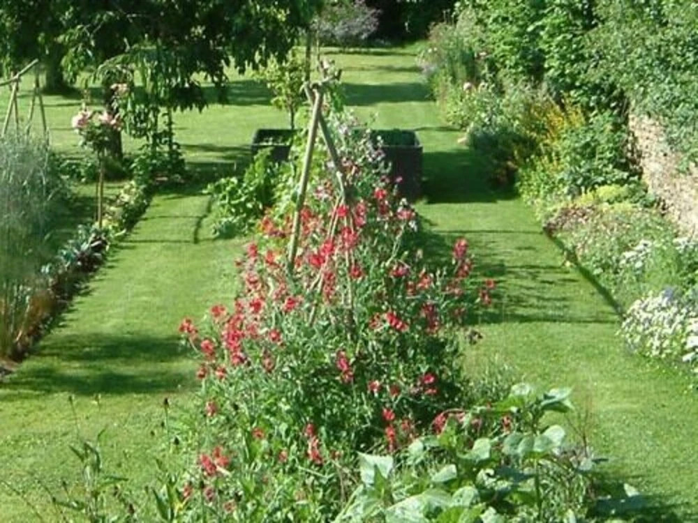 Chateau La Cour