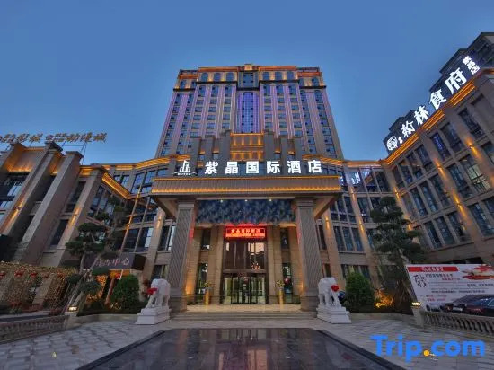 Zijing International Hotel