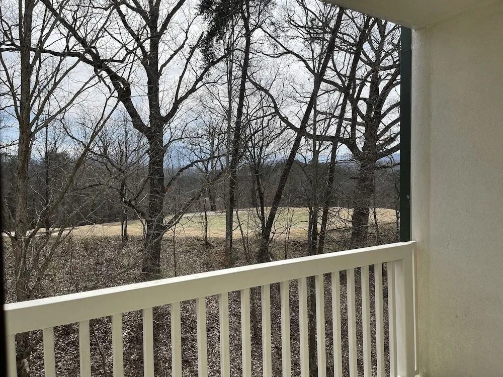 Smoky Mountain Bearadise w Pool.