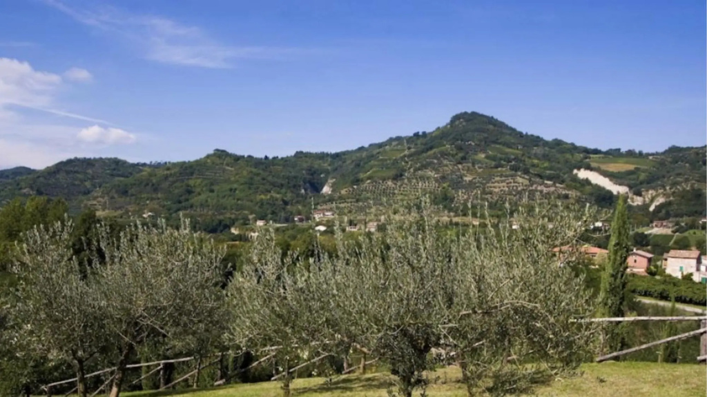 Ovello Farmhouse in a Splendid Position-ovello