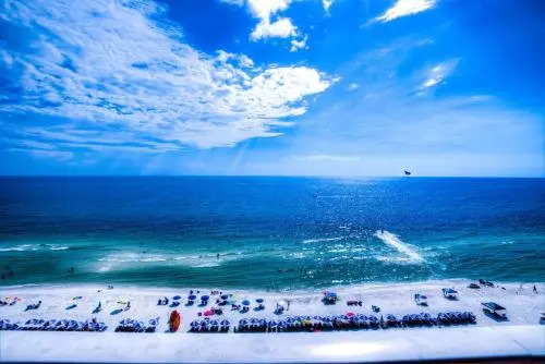 Tidewater 906 By ZIA