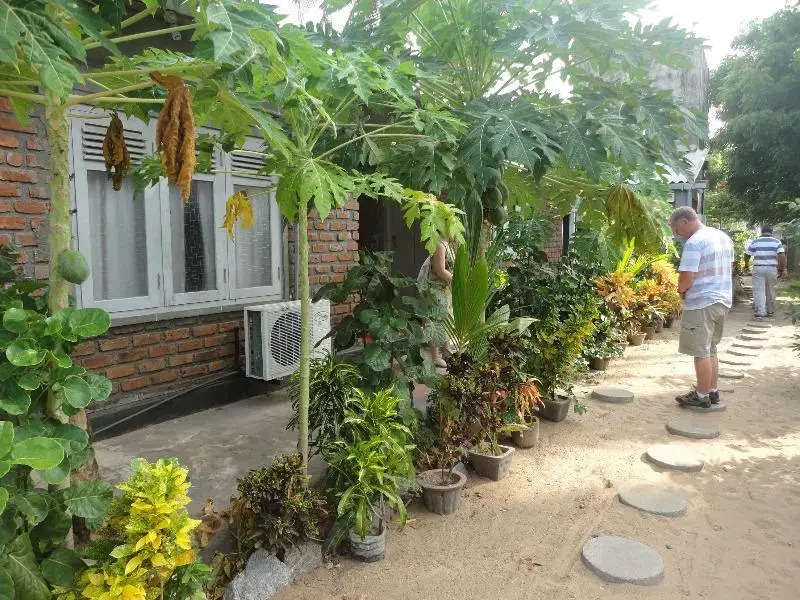 The Mermaids Village