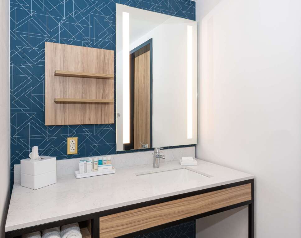 Hilton Garden Inn Flint Downtown