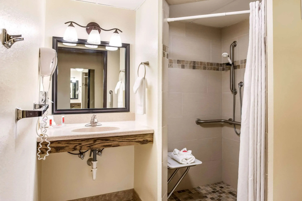 Econo Lodge Mayo Clinic Area