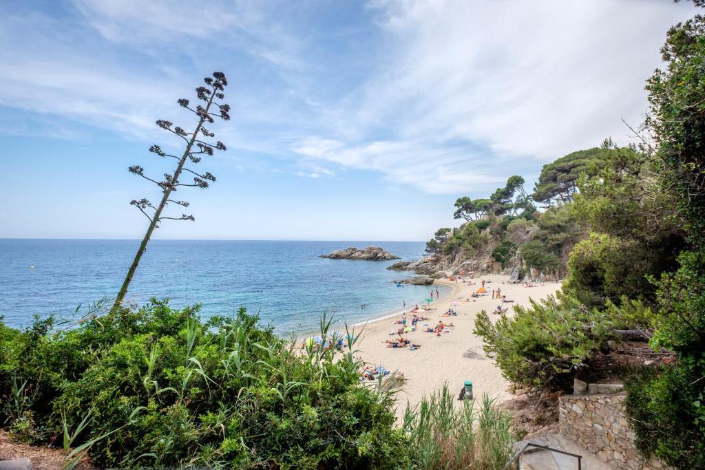 Cap Roig
