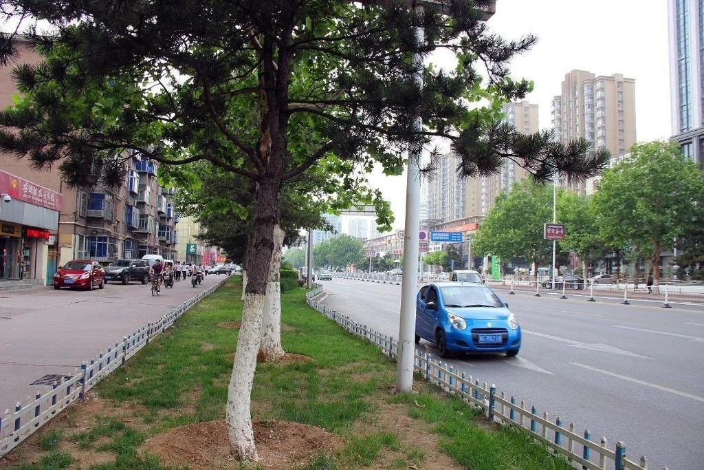 Haishanghai International Hotel - Qinhuangdao
