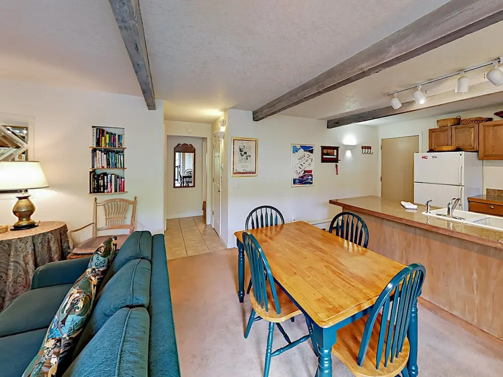 Cozy Condo in Snowmass Village