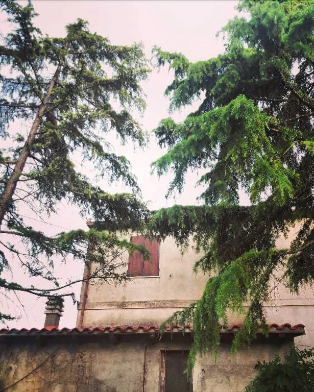 B&B Magalù