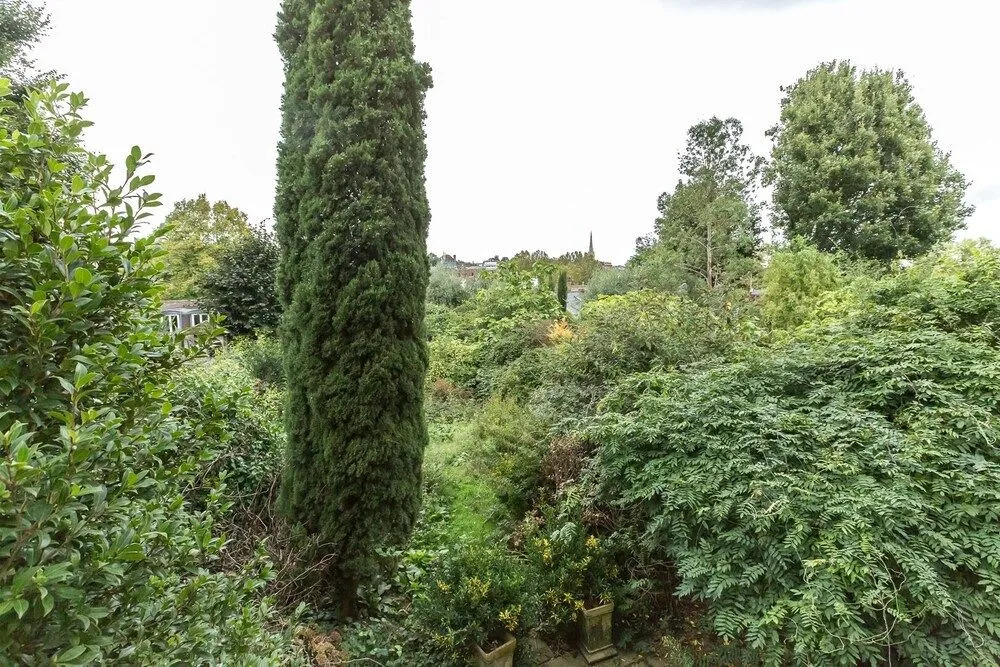 Spacious 1BR Period Apartment Hampstead
