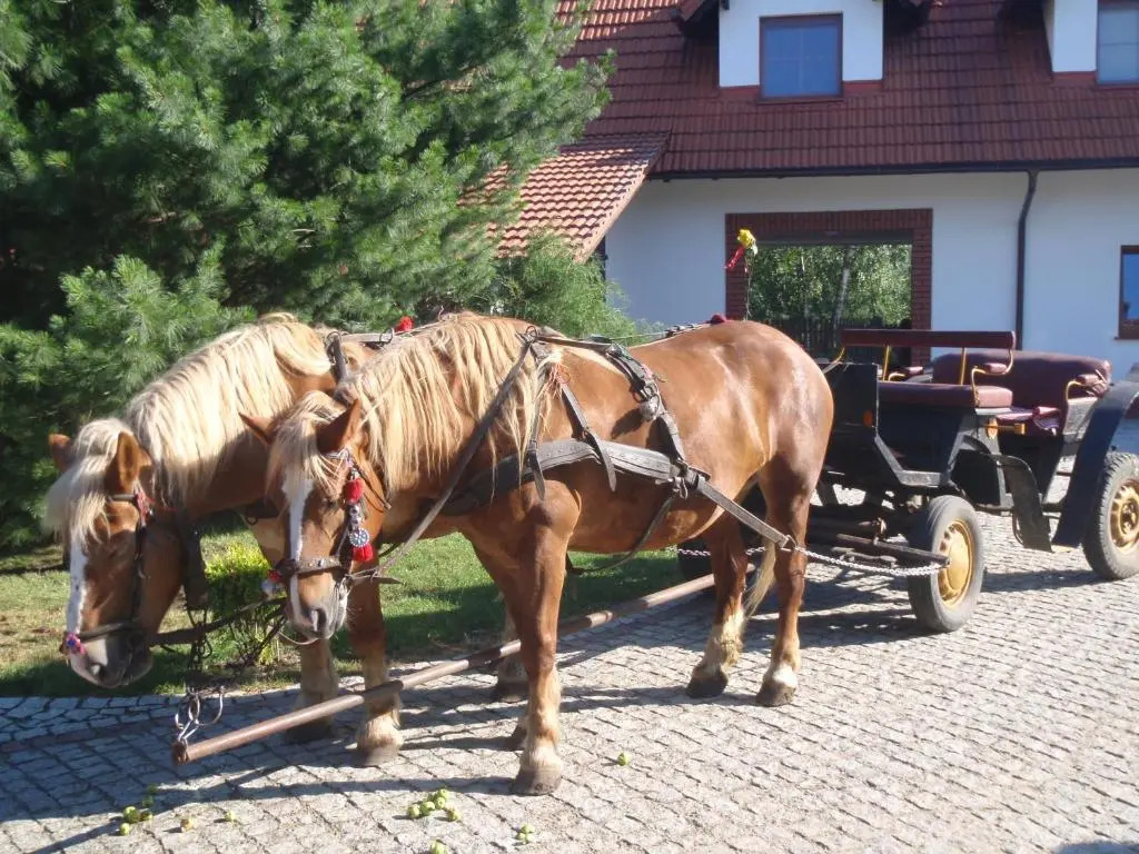 Słoneczne Siedlisko