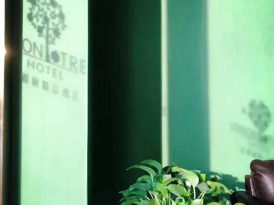 Lemon Tree Hotel